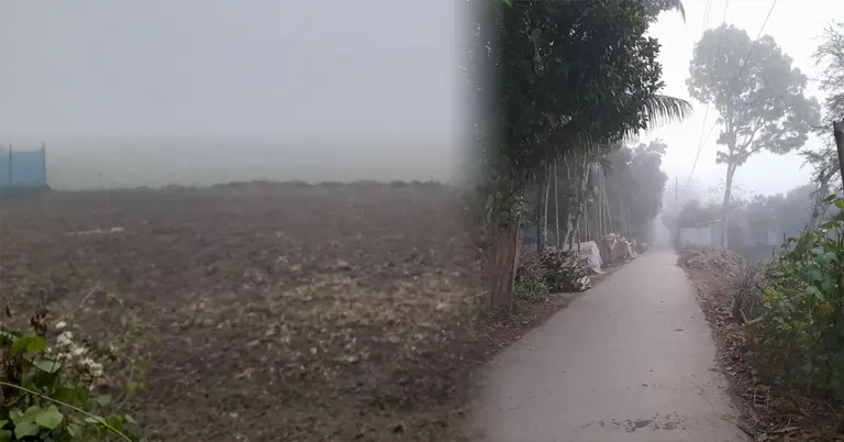 ফরিদপুরে ঘন কুয়াশা